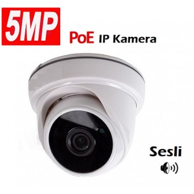 5MP Sesli IP Dome Kamera IC-936 