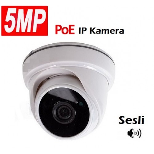 5MP Sesli IP Dome Kamera IC-936 
