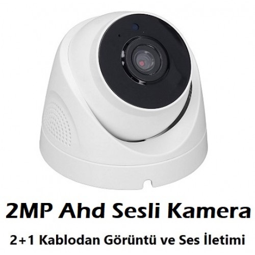 2MP Sesli Ahd Dome Güvenlik Kamerası Dahili Mikrofonlu IC-171