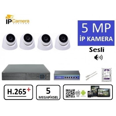 4 Kameralı 5MP ULTRAHD IP Kamera Seti ST-630